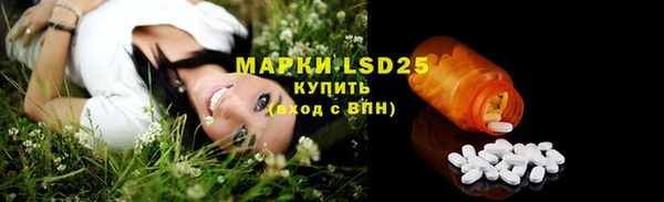 эйфоретик Няндома