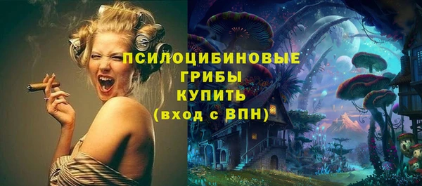 ешки Абаза