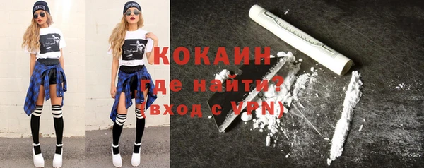 эйфоретик Няндома