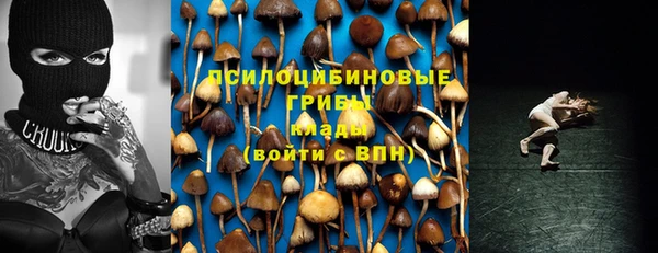 каннабис Алексин